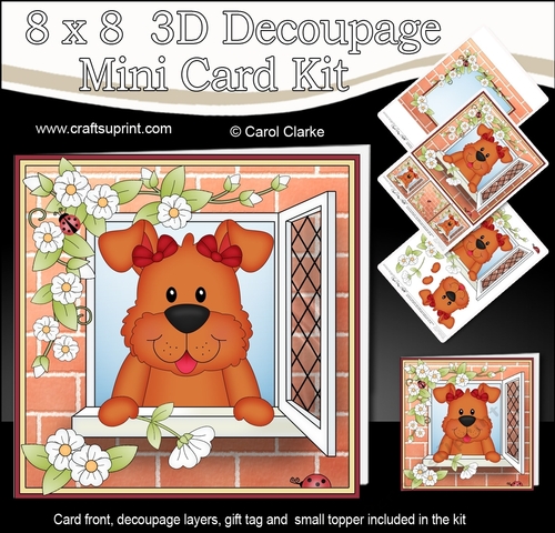 8 x 8 Mini Kit with 3d Decoupage - Through the Window - Little Dog Rose