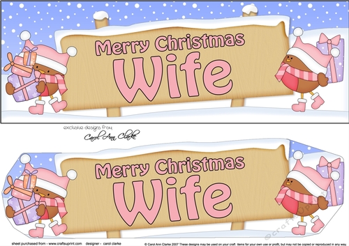 large DL Merry Christmas WIFE Robins 3D decoupage