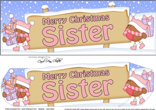 large DL Merry Christmas SISTER Robins 3D decoupage