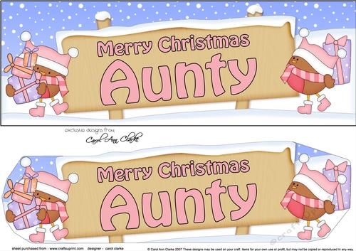 large DL Merry Christmas AUNTY Robins 3D decoupage