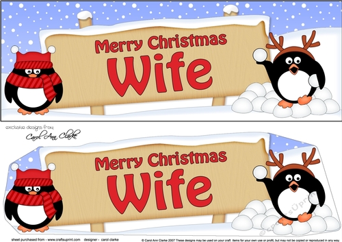 large DL Merry Christmas WIFE Penguins 3D decoupage