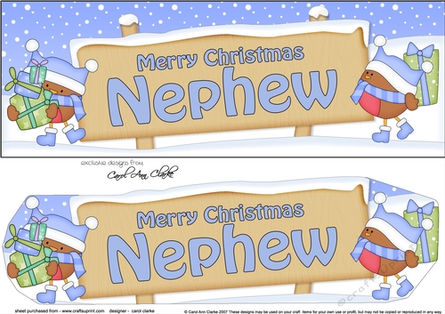 large DL Merry Christmas NEPHEW Robins 3D decoupage