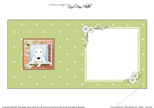 Square landscape insert - Through the Window - Cute Little English Bull Terrier Dog