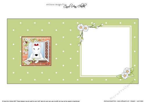 Square landscape insert - Through the Window - Cute Little English Bull Terrier Dog