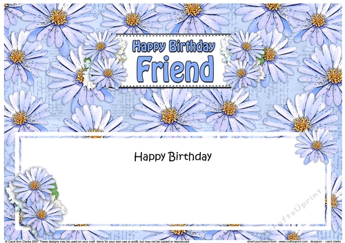 Large DL Happy Birthday FRIEND Daisies Floral matching insert