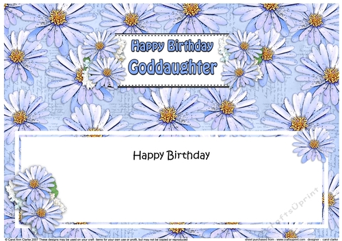 Large DL Happy Birthday GODDAUGHTER Daisies Floral matching insert