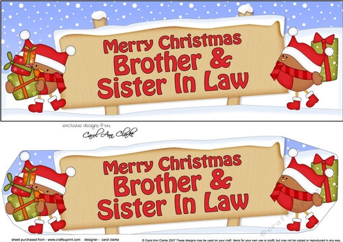 large DL Merry Christmas BROTHER & SISTER IN LAW with Robins 3D decoupage