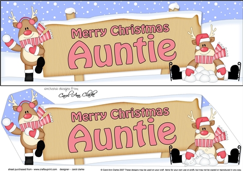 large DL Merry Christmas AUNTIE with Rudolph 3D decoupage