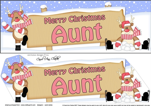 large DL Merry Christmas AUNT with Rudolph 3D decoupage