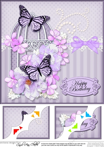 8 x 8 Birthday Butterflies and Flowers Birdcage Scalloped Corner Topper  