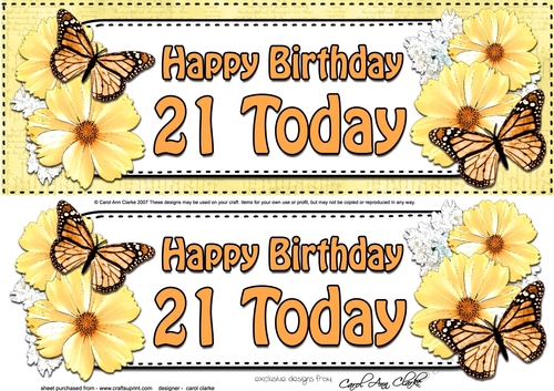 Large DL Happy Birthday 21 TODAY Floral Butterflies 3D decoupage