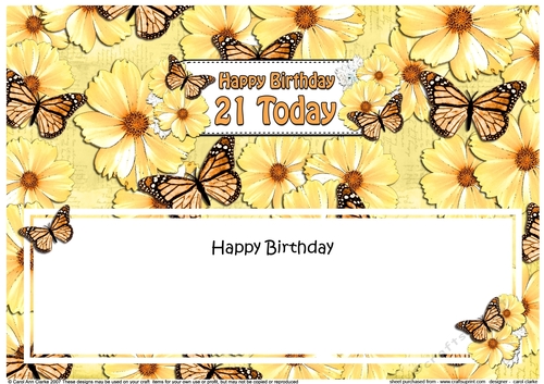 Large DL Happy Birthday 21 TODAY Floral Butterflies insert