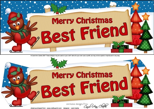 large DL Merry Christmas BEST FRIEND with Robin 3d decoupage