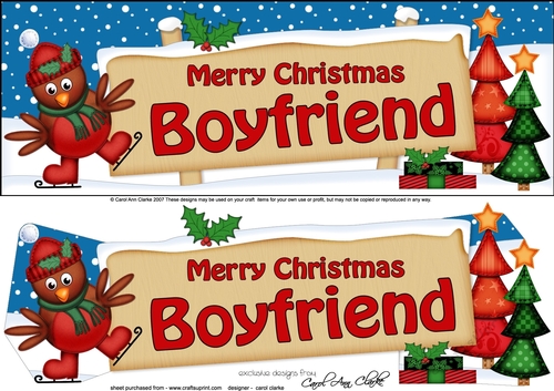 large DL Merry Christmas BOYFRIEND with Robin 3d decoupage