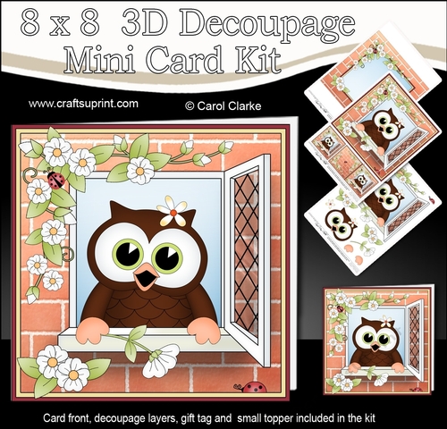 8 x 8 Mini Kit with 3d Decoupage - Through the Window -  Little Hoot Owl
