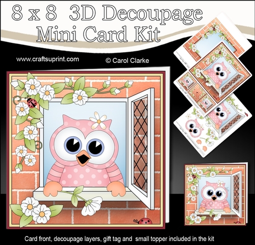 8 x 8 Mini Kit with 3d Decoupage - Through the Window -  Little Hoot Owl