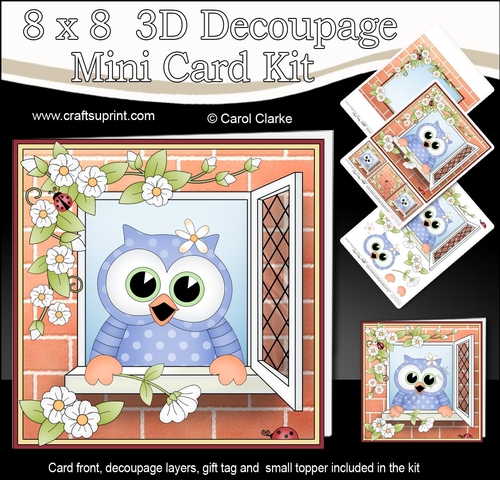 8 x 8 Mini Kit with 3d Decoupage - Through the Window -  Little Hoot Owl