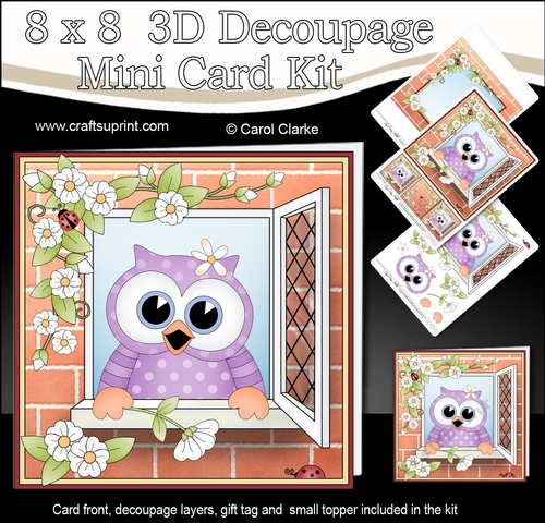 8 x 8 Mini Kit with 3d Decoupage - Through the Window -  Little Hoot Owl