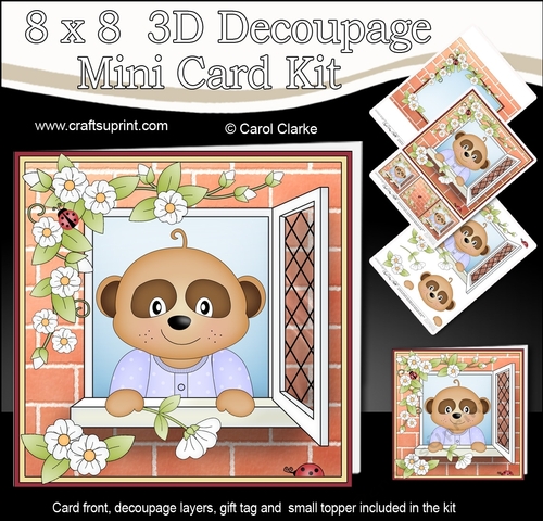 8 x 8 Mini Kit with 3d Decoupage - Through the Window - Little Baby Meerkat Dmitry