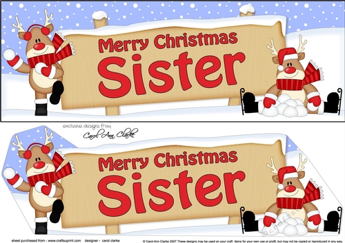 large DL Merry Christmas SISTER with Rudolph 3D decoupage