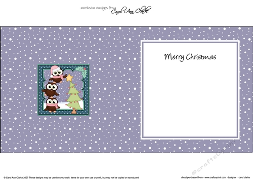 Christmas Little Hoot Owl & Friends put the Star on the Xmas Tree matching insert square landscape