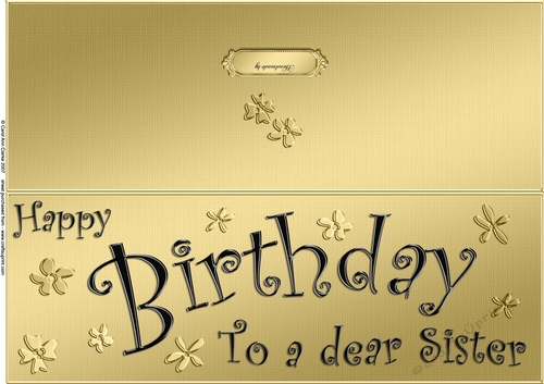 Large DL Birthday Sister quick Cut and Fold Card  