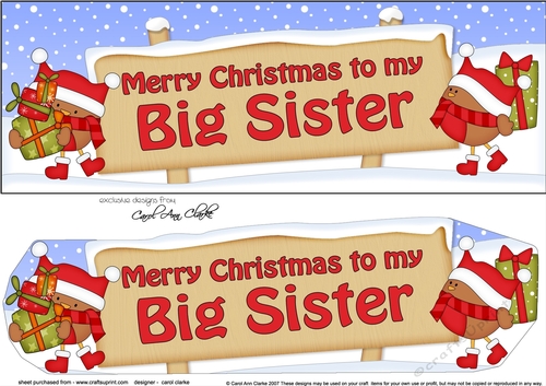 large DL Merry Christmas to my BIG SISTER with Robins 3D decoupage