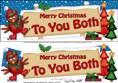 large DL Merry Christmas TO YOU BOTH with Robin 3d decoupage
