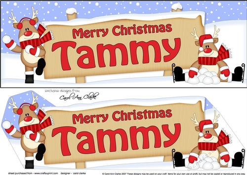 Large DL Merry Christmas TAMMY 3D decoupage 