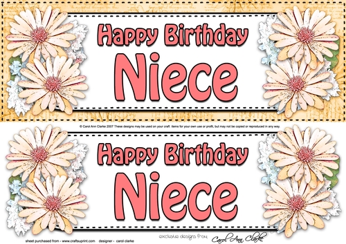  Large DL Happy Birthday NIECE Daisies Floral 3D decoupage