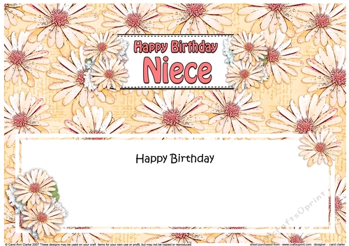 Large DL Happy Birthday NIECE Daisies Floral matching insert
