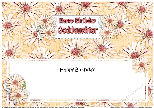 Large DL Happy Birthday GODDAUGHTER Daisies Floral matching insert