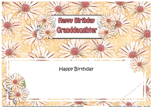 Large DL Happy Birthday GRANDDAUGHTER Daisies Floral matching insert