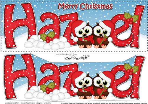 Large DL Merry Christmas HAZEL 3D decoupage 