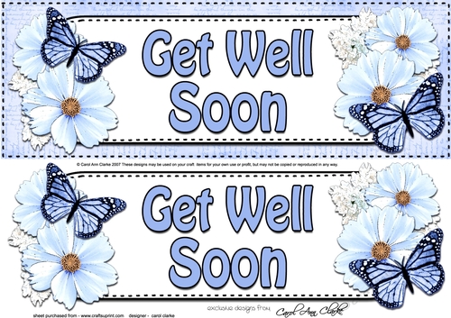 Large DL GET WELL SOON Floral Butterflies 3D decoupage