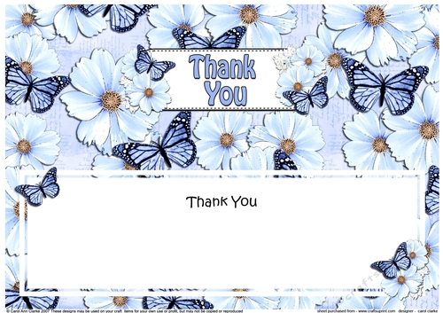 Large DL THANK YOU Floral Butterflies insert