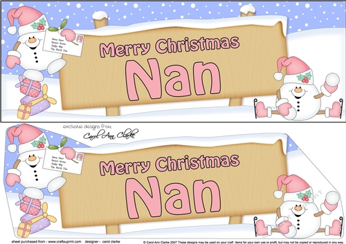 large DL Merry Christmas NAN Snowball Sam insert