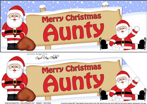 large DL Merry Christmas AUNTY with Santa 3D decoupage