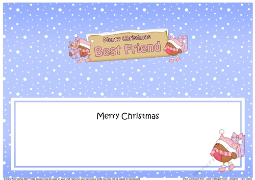 large DL Merry Christmas BEST FRIEND with Robins insert
