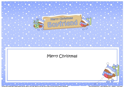 large DL Merry Christmas BOYFRIEND Robins insert