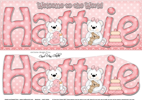 Large DL Welcome to the World HATTIE 3D decoupage