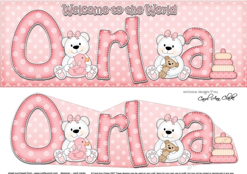Large DL Welcome to the World ORLA 3D decoupage
