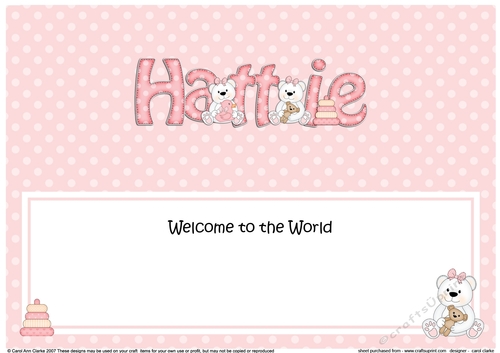 Large DL Welcome to the World HATTIE insert