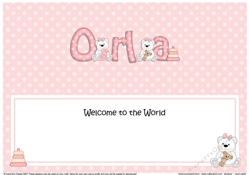 Large DL Welcome to the World ORLA insert