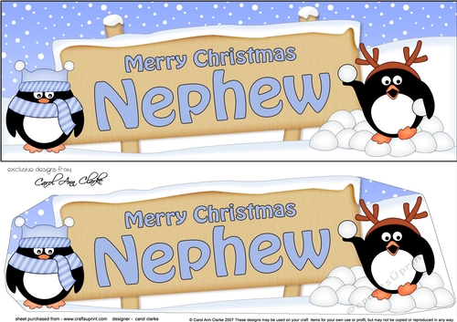 large DL Merry Christmas NEPHEW with Penguins 3D decoupage