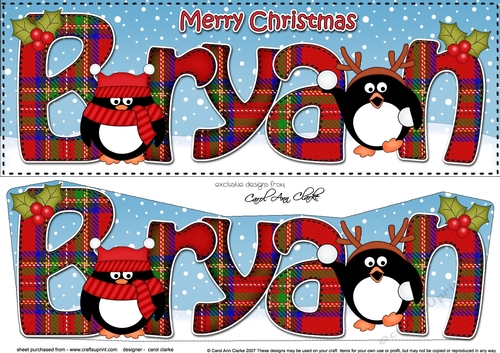 Large DL Merry Christmas BRYAN 3D decoupage 