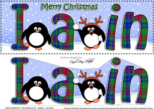 Large DL Merry Christmas IAIN 3D decoupage 