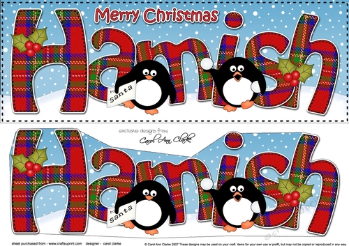 Large DL Merry Christmas HAMISH 3D decoupage 