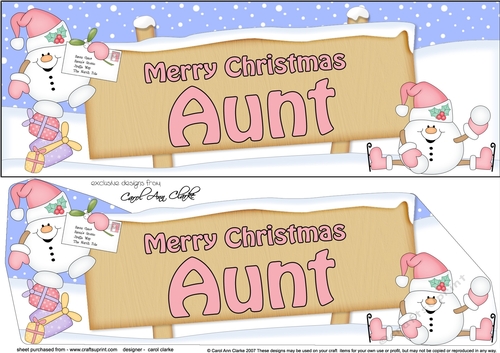 large DL Merry Christmas AUNT Snowball Sam 3D decoupage