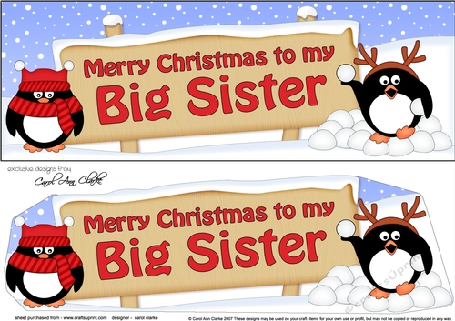 Large DL Merry Christmas BIG SISTER with Penguins 3D decoupage